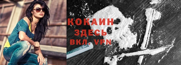 шишки Володарск