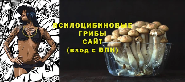 mix Надым