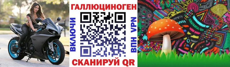 Псилоцибиновые грибы прущие грибы  Выкса 