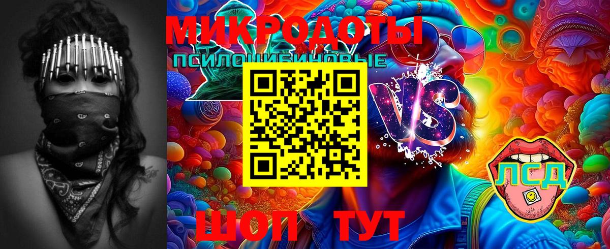 Псилоцибиновые грибы прущие грибы  Выкса 