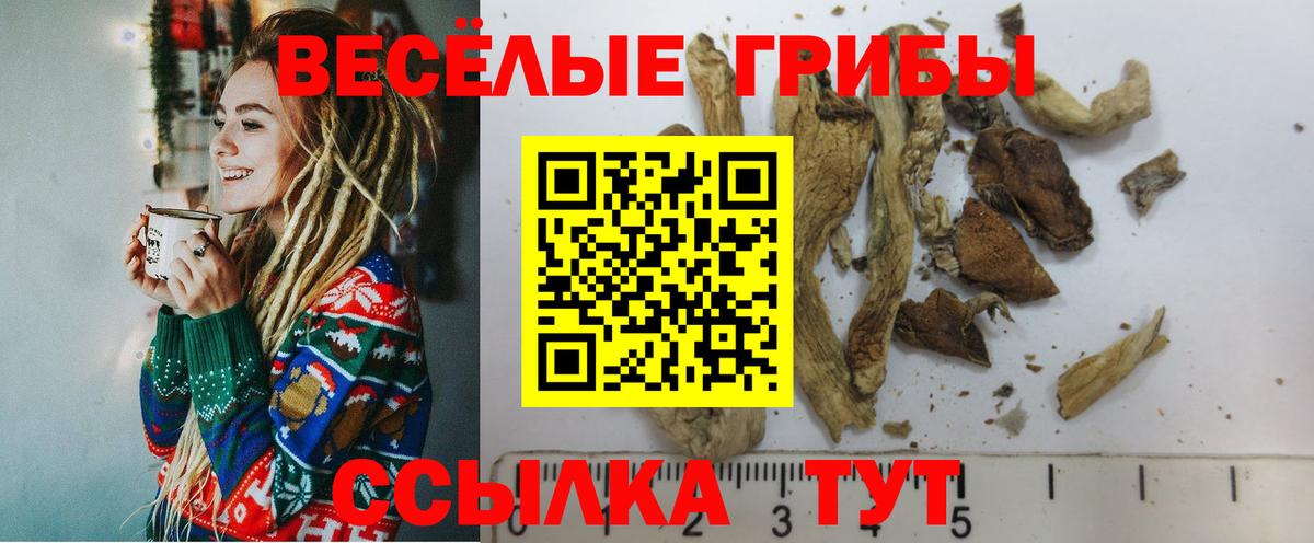 Псилоцибиновые грибы Cubensis Выкса
